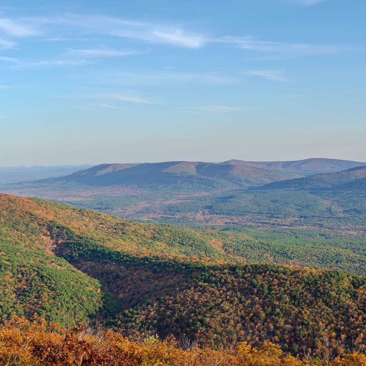 Fall view from the Talimena Drive in Southeast Oklahoma