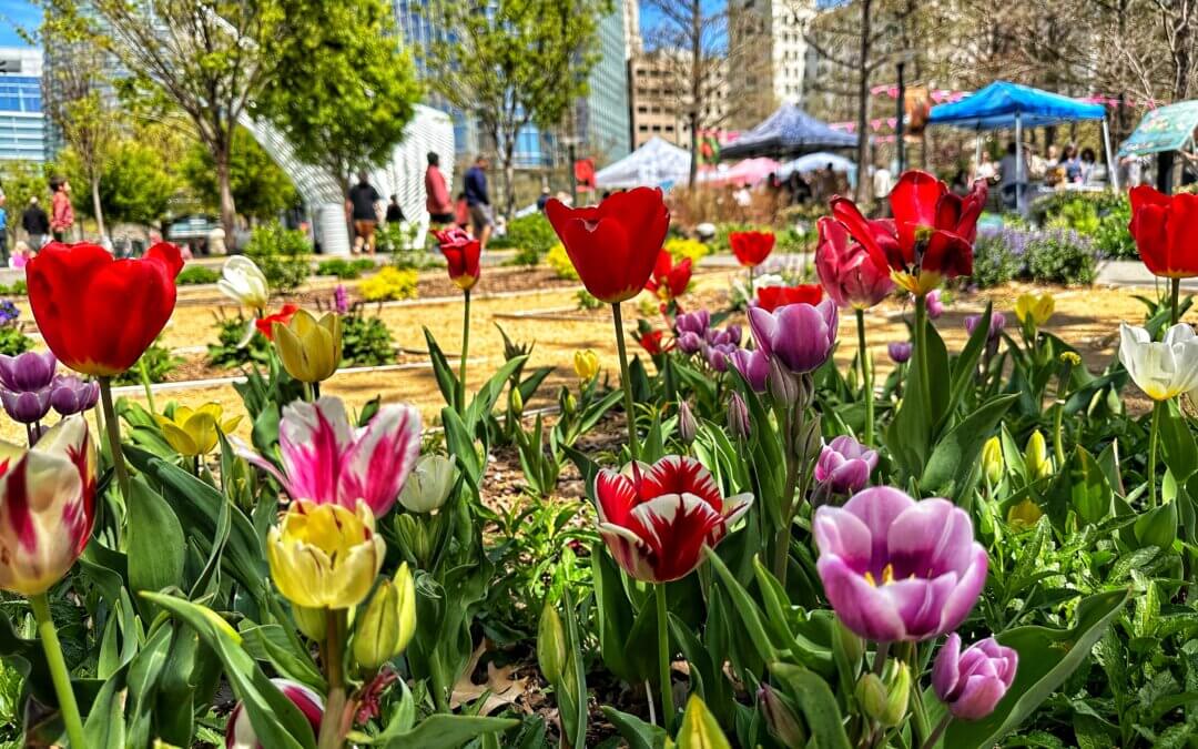Springtime in Oklahoma: 7 April Events Worth Planning Around